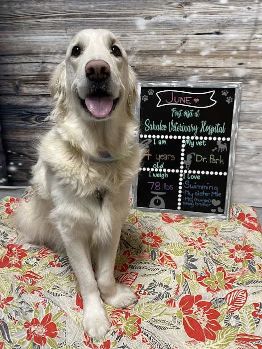 Sahalee Veterinary Hospital Picture 5