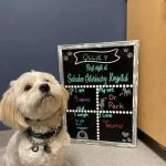 Sahalee Veterinary Hospital