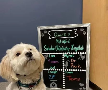 Sahalee Veterinary Hospital