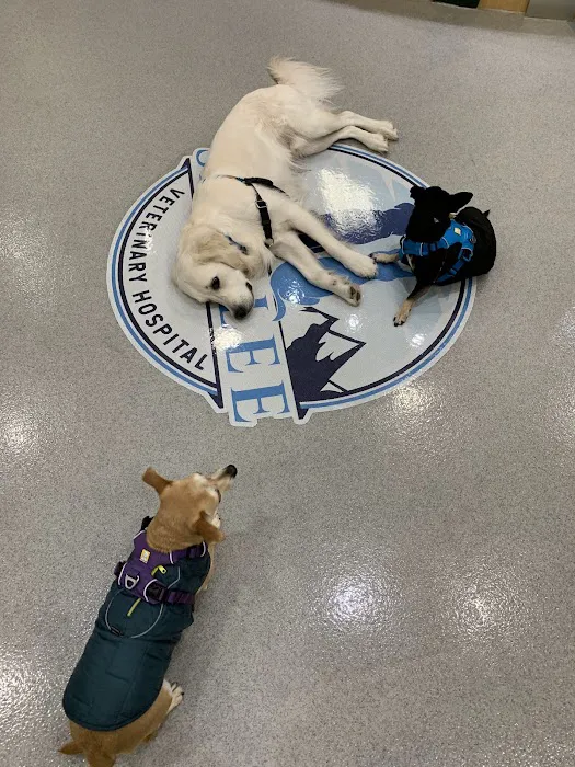 Sahalee Veterinary Hospital Picture 9