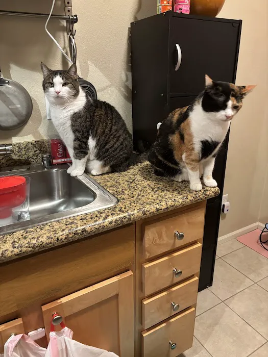 Sahalee Veterinary Hospital Picture 10