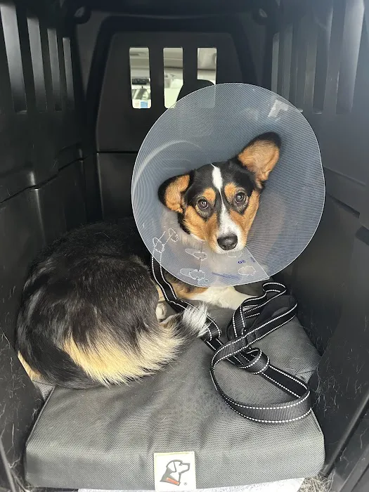 Sammamish Highlands Veterinary Hospital Picture 2