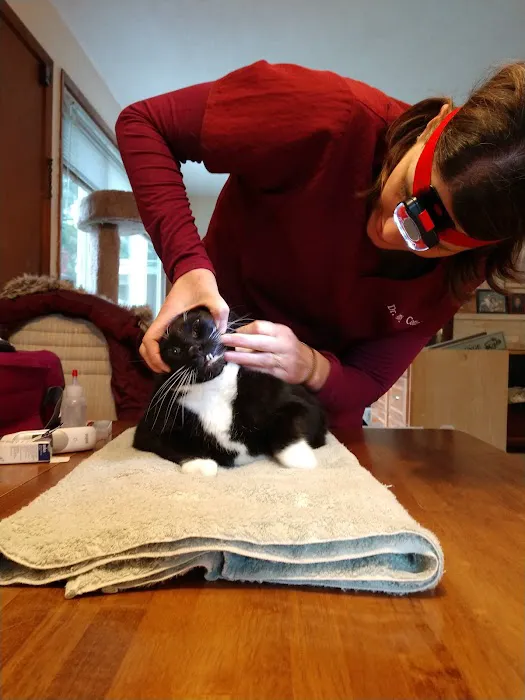 House Pet Vet Visits Picture 3