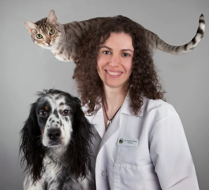 Redmond-Fall City Animal Hospital Picture 9
