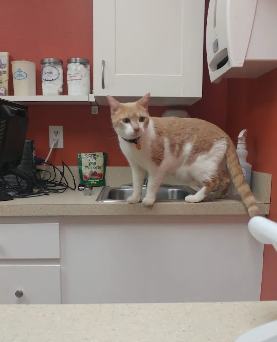 Redmond-Fall City Animal Hospital Picture 5