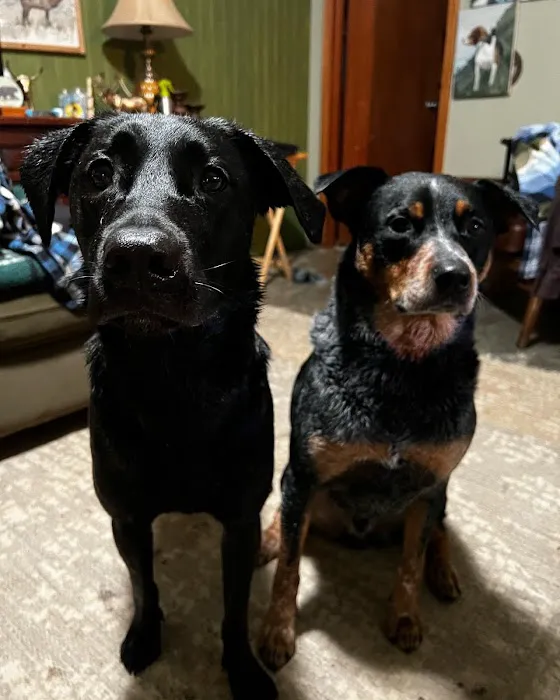 Redmond-Fall City Animal Hospital Picture 7