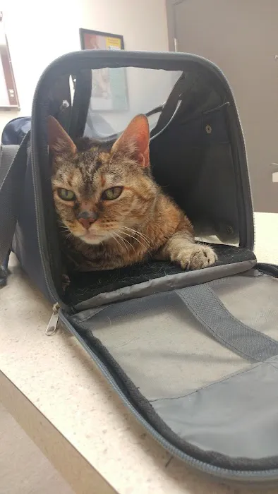 Redmond-Fall City Animal Hospital Picture 6