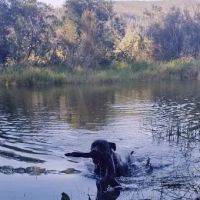 Snoqualmie Valley Animal Hospital ico