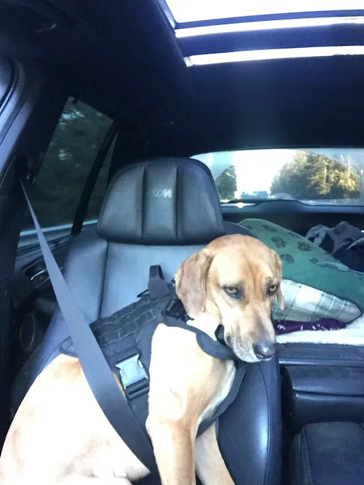 Snoqualmie Valley Animal Hospital Picture 2