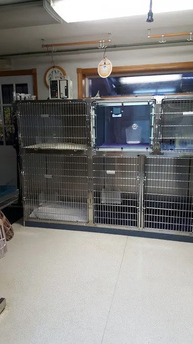 Snoqualmie Valley Animal Hospital Picture 4