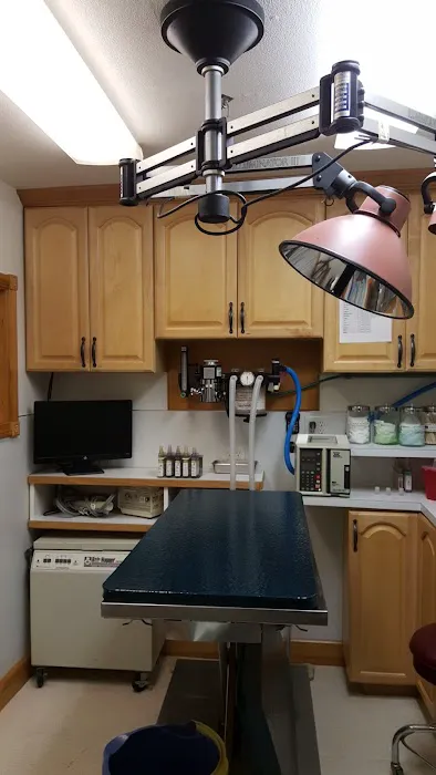Snoqualmie Valley Animal Hospital Picture 5