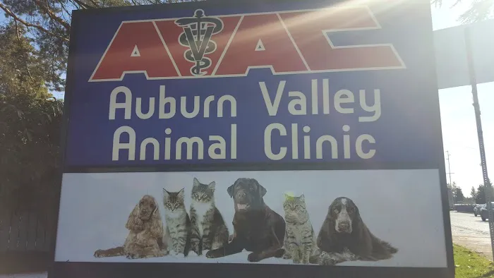 Auburn Valley Animal Clinic Picture 3