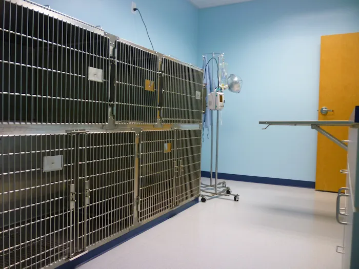 Affordable Animal Emergency Clinic Picture 9
