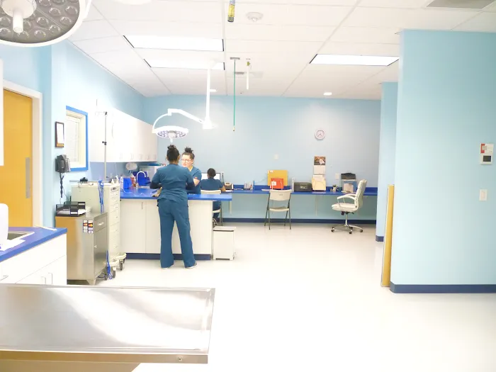 Affordable Animal Emergency Clinic Picture 10