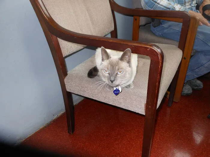 Forest Hill Veterinary Hospital Picture 8