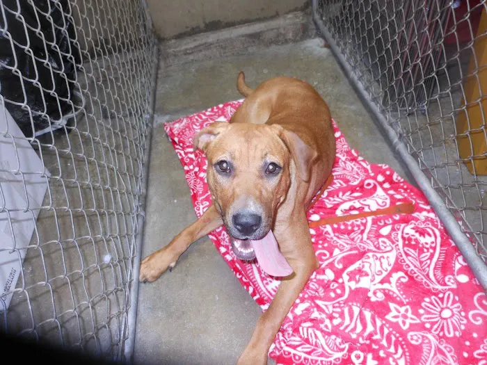 Forest Hill Veterinary Hospital Picture 10