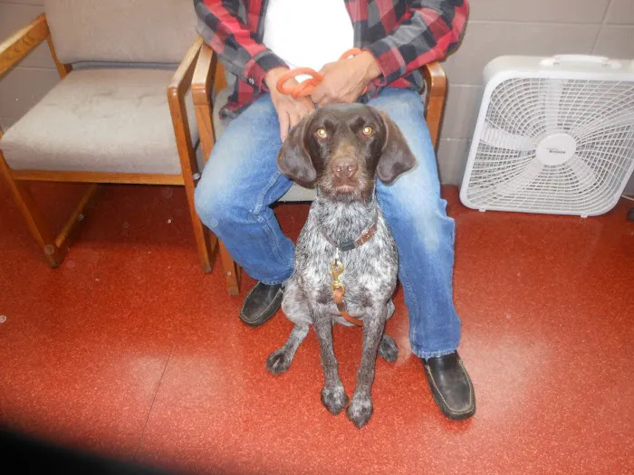 Forest Hill Veterinary Hospital Picture 2
