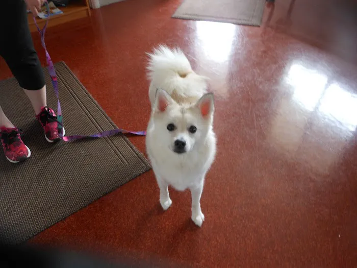 Forest Hill Veterinary Hospital Picture 5