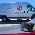 Good Neighbor Vet