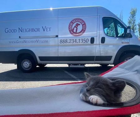 Good Neighbor Vet