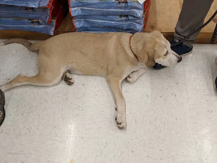 Good Neighbor Vet Picture 3
