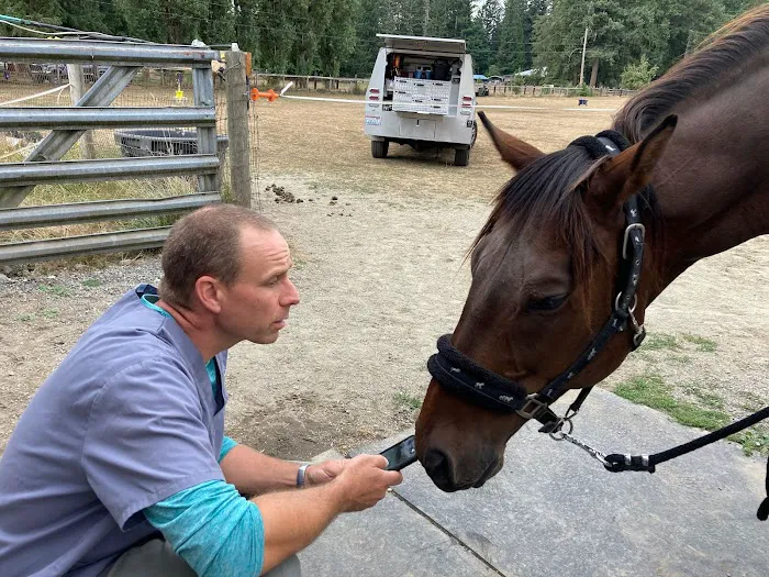 Northwest Equine Veterinary Associates Picture 10