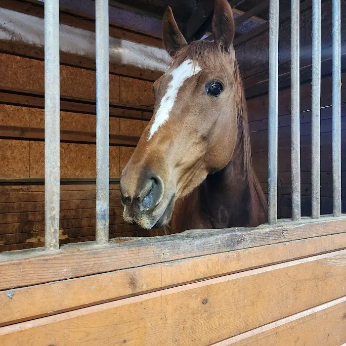 Northwest Equine Veterinary Associates Picture 6