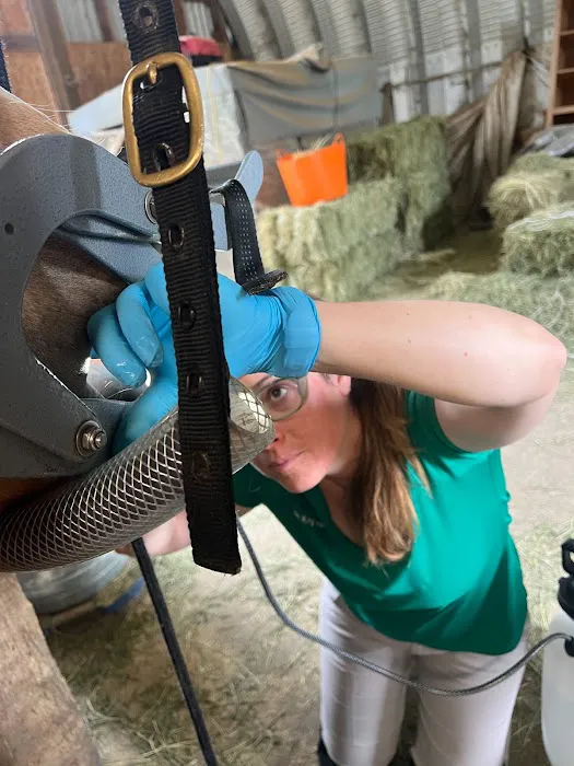 Northwest Equine Veterinary Associates Picture 3