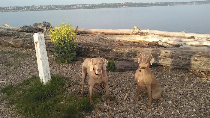 Browns Point Veterinary Clinic Picture 3