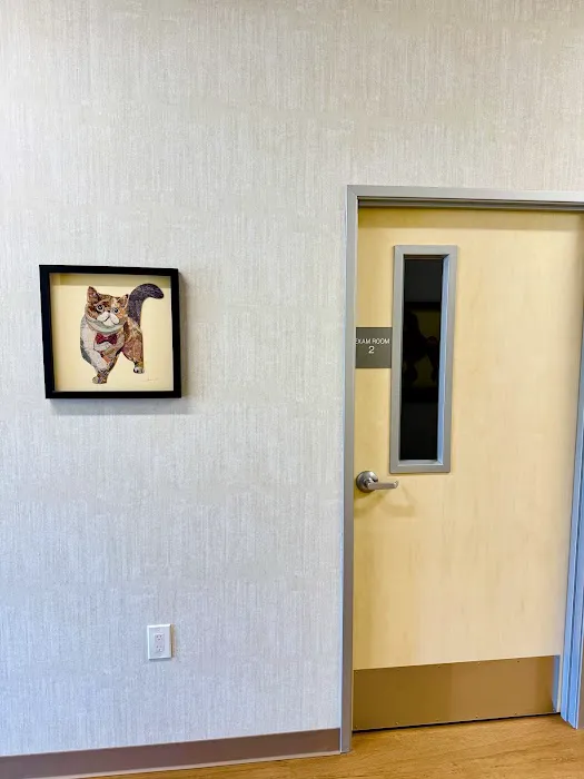 Animal Republic Veterinary Hospital & Emergency Picture 5