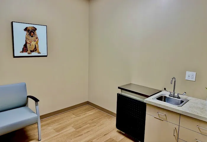 Animal Republic Veterinary Hospital & Emergency Picture 3