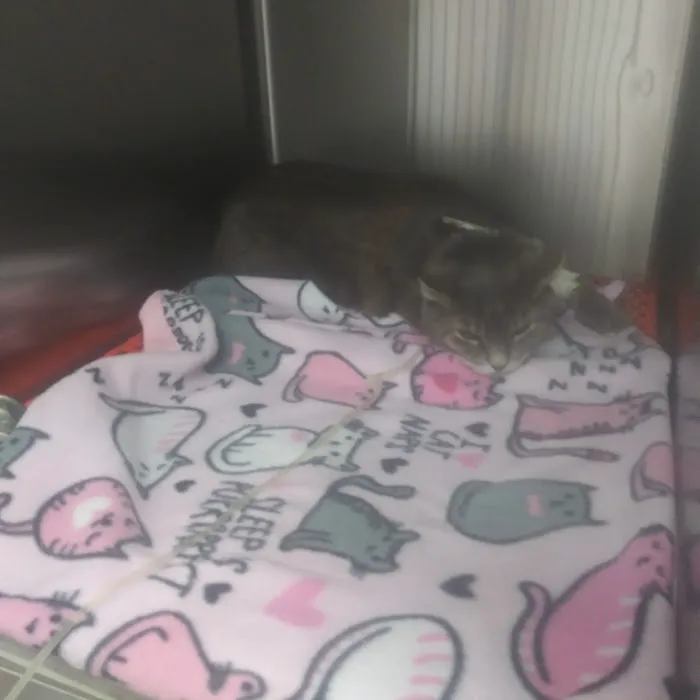 Beach Boulevard Pet Hospital Picture 8