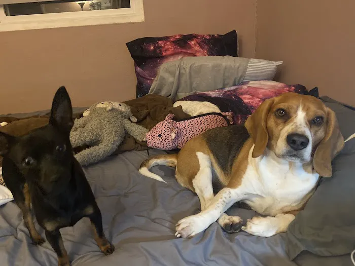 Beach Boulevard Pet Hospital Picture 4