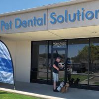 Pet Dental Solutions ico