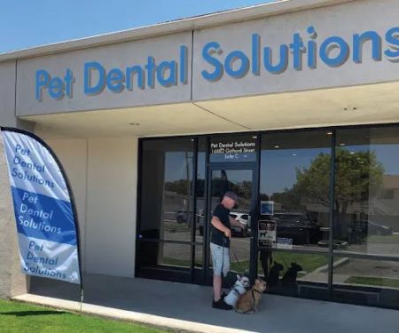 Pet Dental Solutions