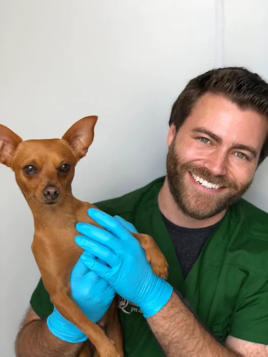Qualified Pet Dental Picture 1