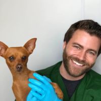 Qualified Pet Dental ico