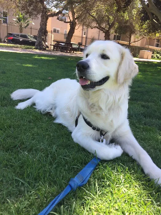 Qualified Pet Dental Picture 10