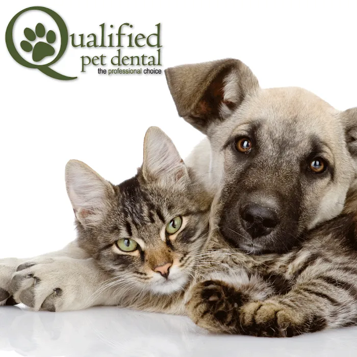 Qualified Pet Dental Picture 9