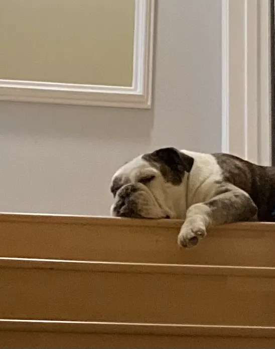 Beach City Animal Hospital Picture 4