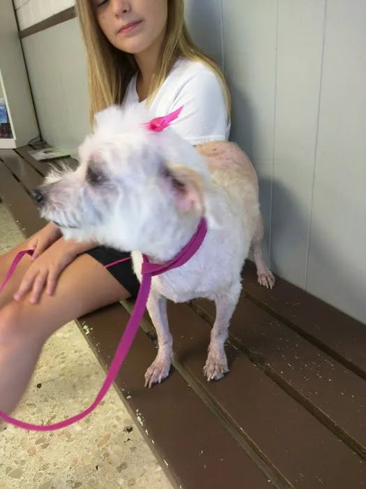 Warner Avenue Animal Hospital Picture 1