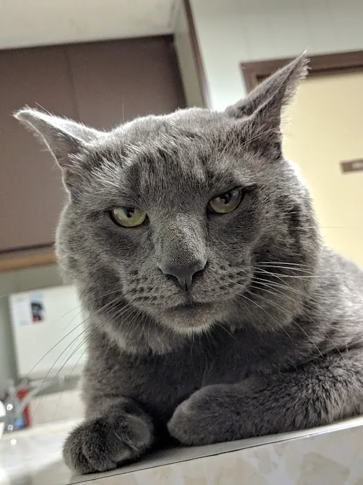 Warner Avenue Animal Hospital Picture 8