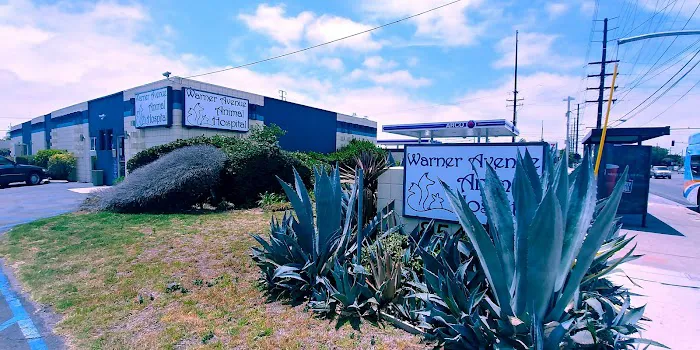 Warner Avenue Animal Hospital Picture 3