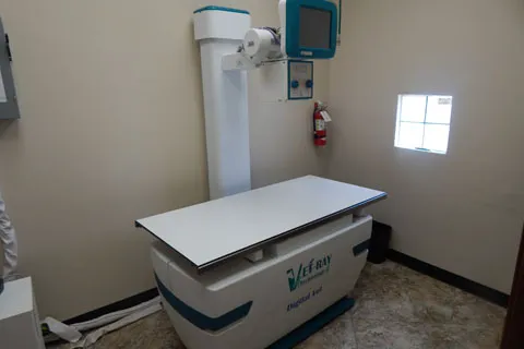 Magnolia Animal Hospital Picture 2