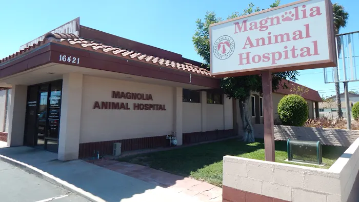 Magnolia Animal Hospital Picture 10