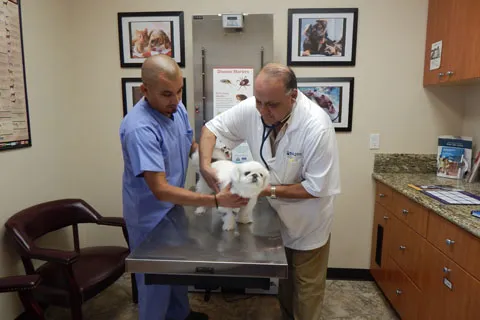 Magnolia Animal Hospital Picture 3
