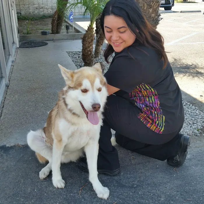 Katella Animal Clinic Picture 8