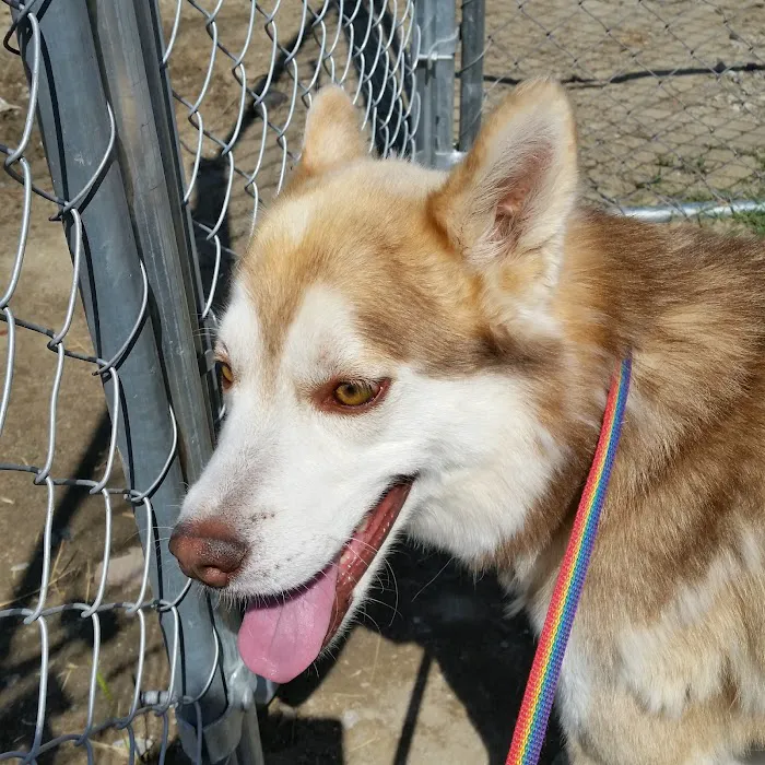 Katella Animal Clinic Picture 9