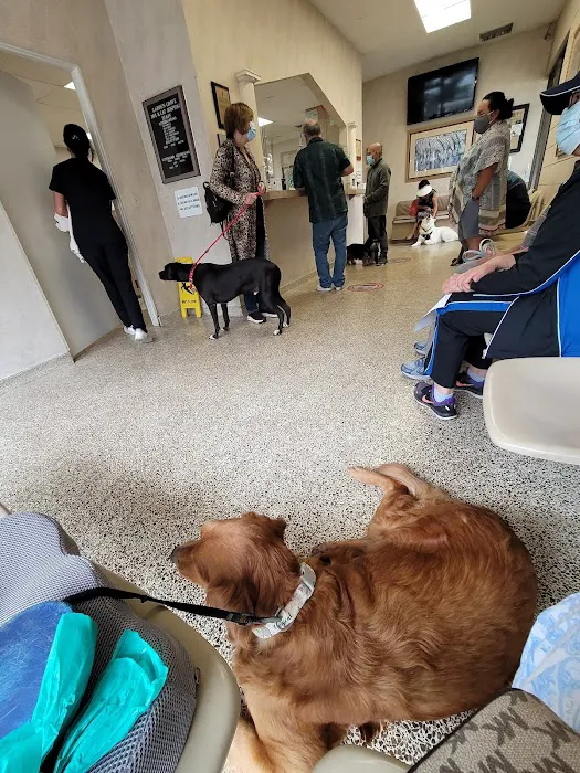 Garden Grove Dog and Cat Hospital Picture 1