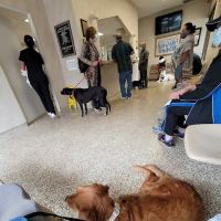 Garden Grove Dog and Cat Hospital ico